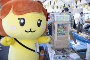 木のガチャガチャとぷめるちゃん