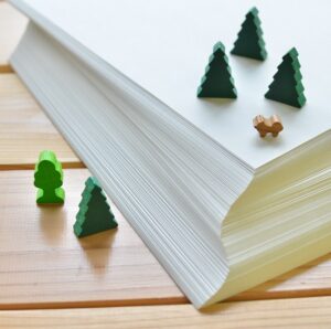 木になる紙