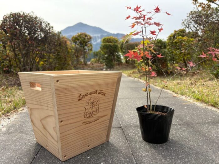 ポットカバーと苗木