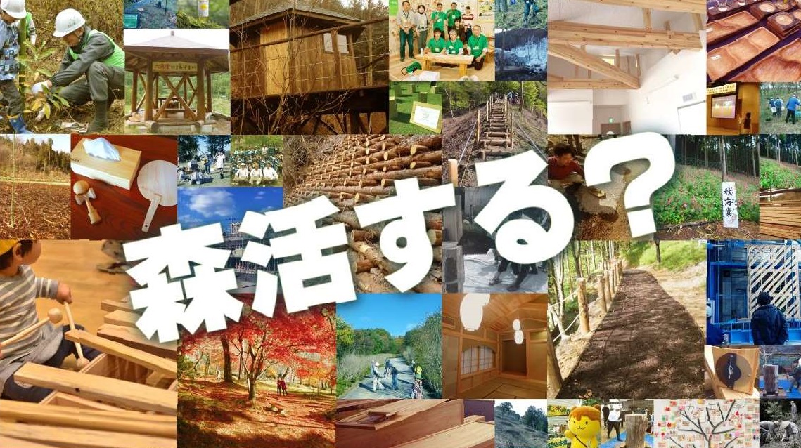 秩父地域森林活用等 創出支援事業補助金